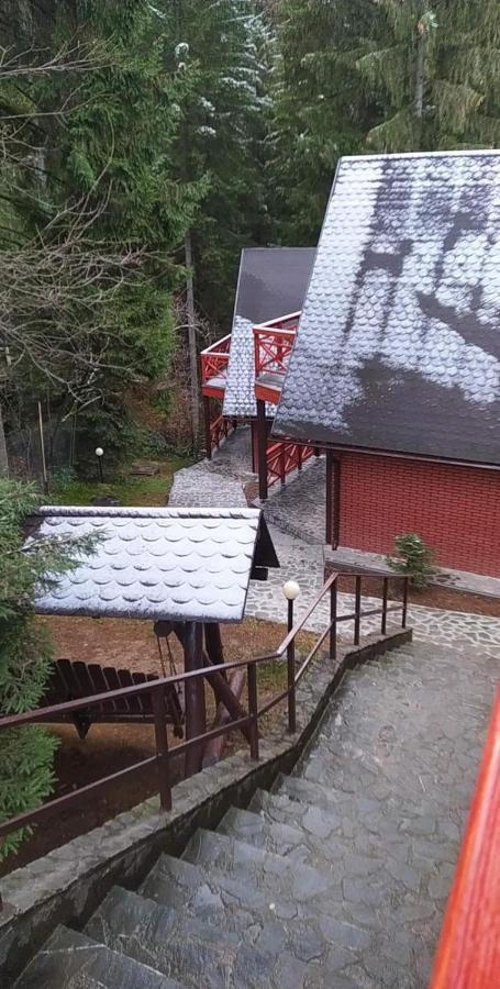 Casa Familiei Villa Brașov Exterior foto